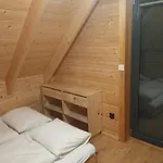 Polne Kwiaty *