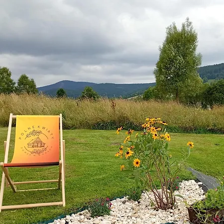 Vakantiehuis Polne Kwiaty Stronie Śląskie