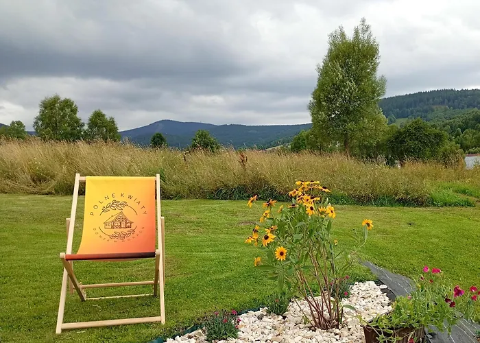 Дом отдыха Polne Kwiaty Строне-Слёнске